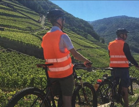 E-Bike-Ausflug durch die Weinberge - Aigle