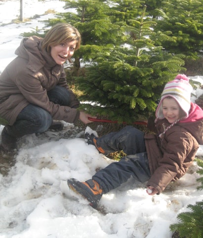 Christbaum selber schneiden