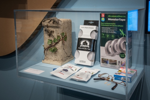 Expo « Mimêsis-La nature aux origines de l&rsquo;innovation » (VD)