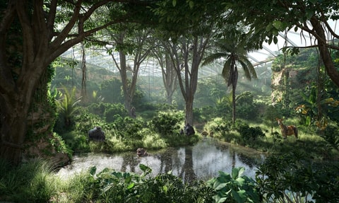 Ndoki Garten: der erste Schritt  zum Gorilla-Paradies