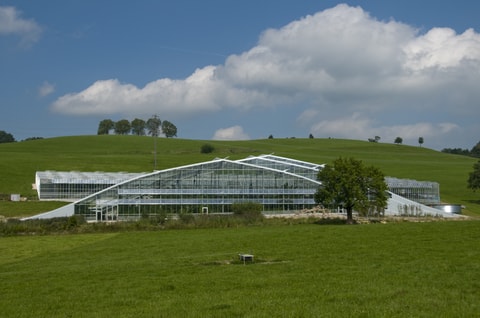 Tropenhaus Wolhusen: Doch noch eine Rettung?