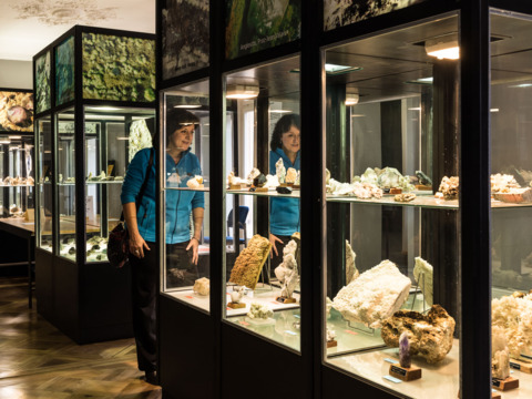 Musée des Sciences de la Terre à Martigny (VS)