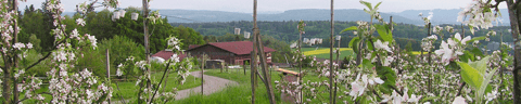 Natur Ernteland Spaltenstein in Kloten