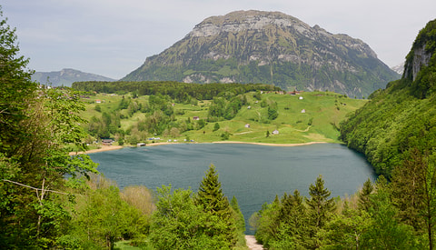 Naturcamping am Seelisberger Seeli