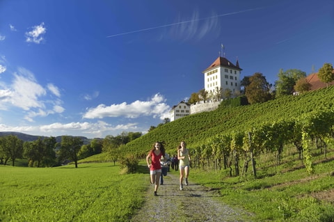 Schloss Heidegg
