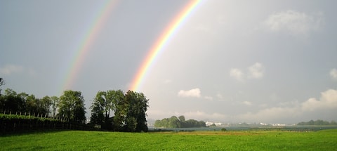 Insel Ufenau