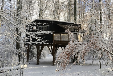 Les Cabanes du Mont in Coeuve