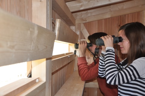 Birdlife-Naturzentrum Neeracherried