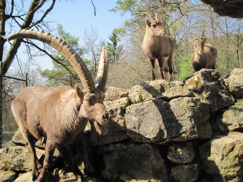 Tierpark Biel