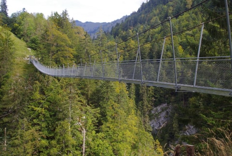 Hängebrücke Leiternweide Oberwil