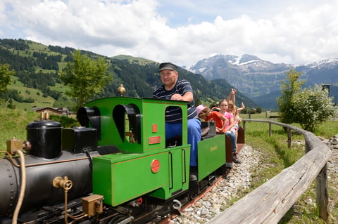 AlpKultur® Spielplatz Lenkerseeli