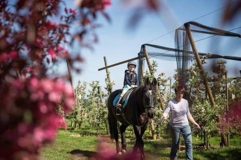 Oase der Entspannung: Der Feierlenhof am Bodensee