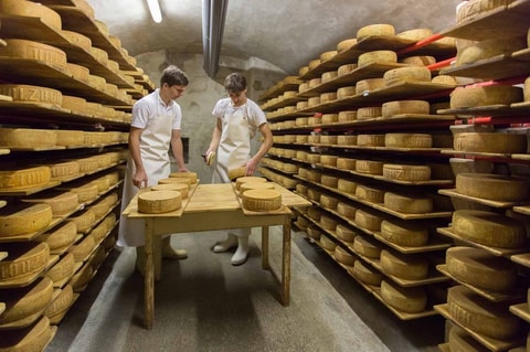 Tilsiter Switzerland – Käserei Holzhof