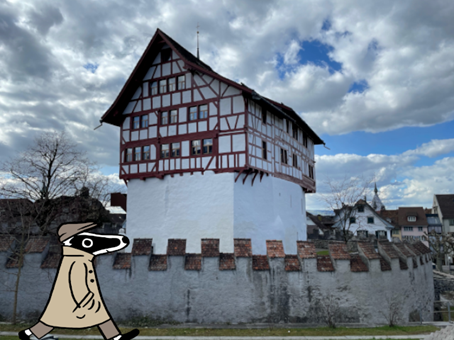 Detektiv-Trail Zug