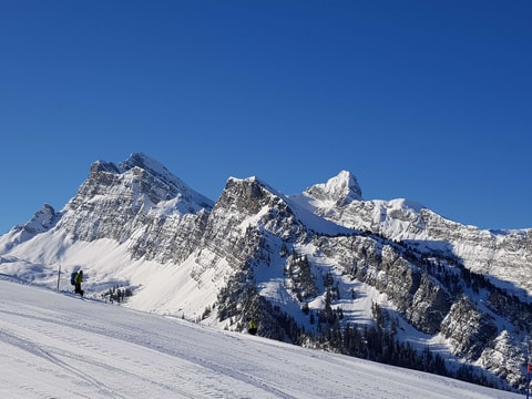 Diemtigtal – Wiriehorn, Springenboden, Grimmialp
