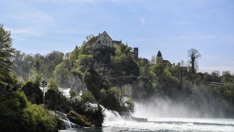 Schloss Laufen am Rheinfall