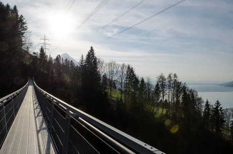 Panoramabrücke Leissigen