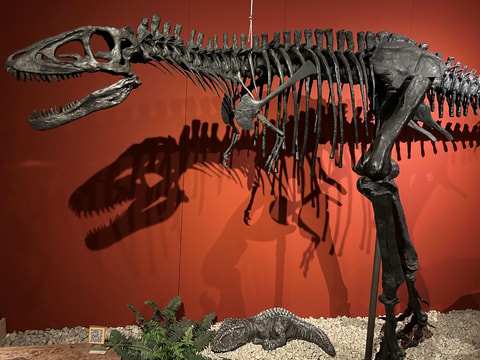 Sauriermuseum Bellach