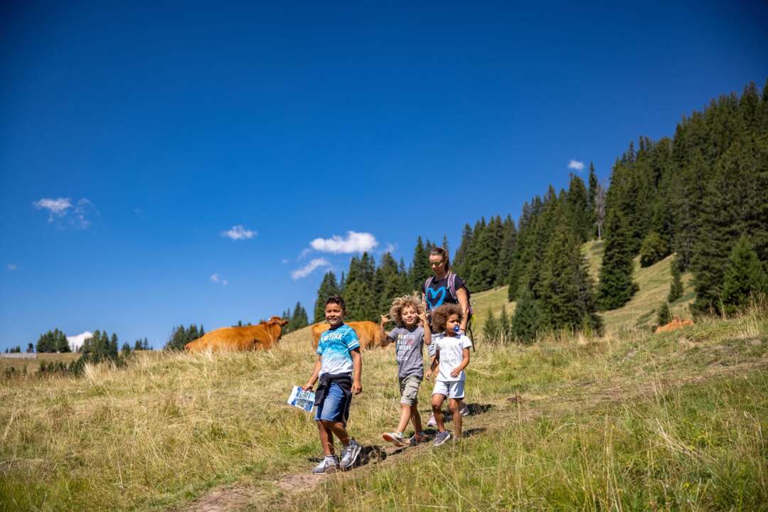 Chasse au trésor en famille à Bretaye