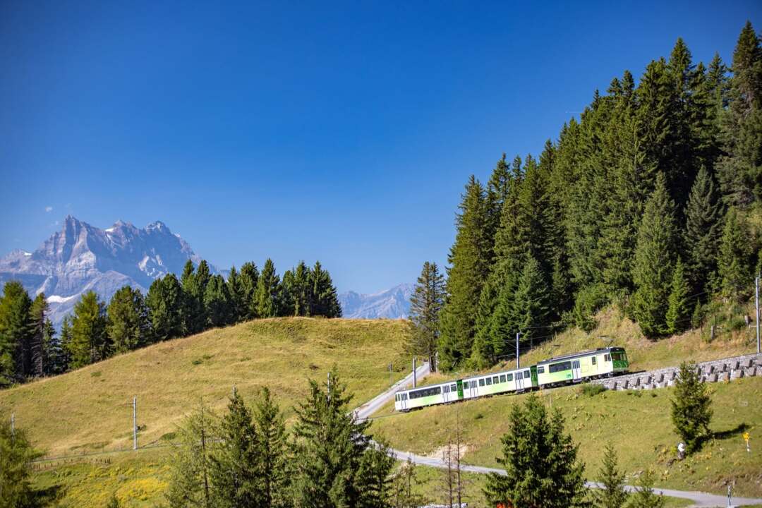 Vue sur le train à crémaillère reliant Villars à Bretaye