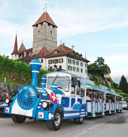 Spiezer Zügli am Thunersee