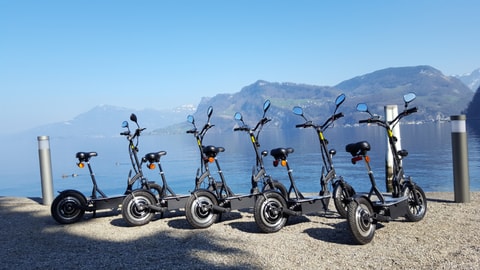 Abenteuer auf Electroscootern