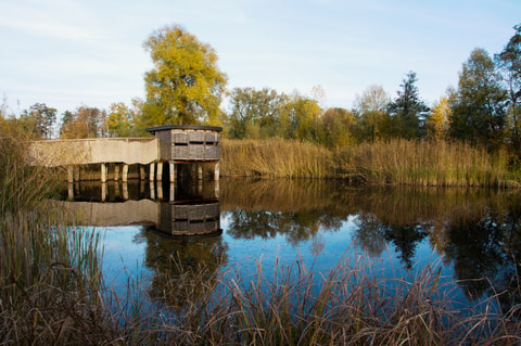 Naturstation Silberweide