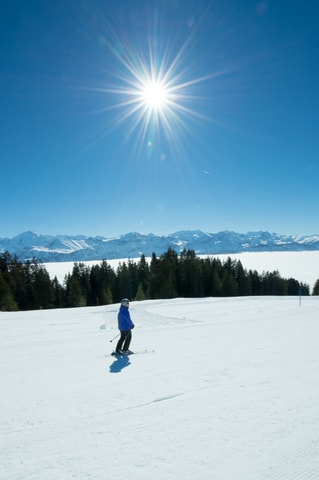 Niederhorn und Hohwald