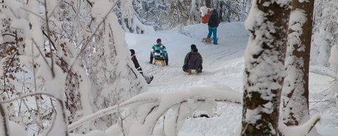 Schlitteln am Uetliberg