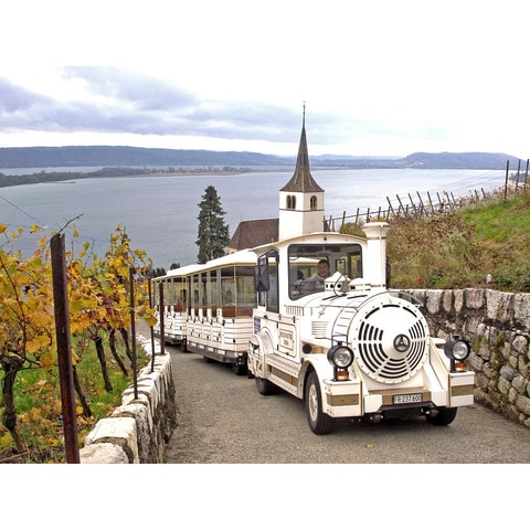 Viniterra Rebenbahn am Bielersee
