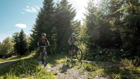 Parcours de VTT dans la forêt de Charmontel (VD)
