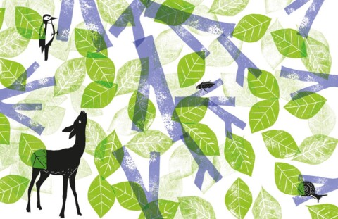 Expo « Qui vit là ? » – Centre Pro Natura de Champ-Pittet