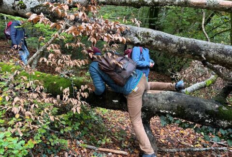 Testé pour vous : bains de forêt