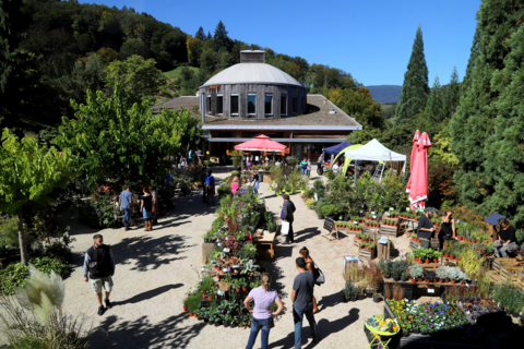 Marché aux plantes & journée de l&rsquo;Arbre – Arboretum (VD)