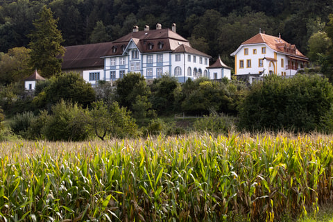 Ateliers culinaires au Château de Marnand (VD)