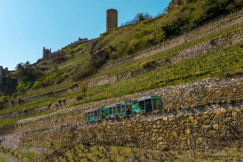 Balade du dimanche en petit train à Saillon (VS)