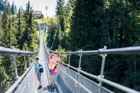 Pont suspendu Skywalk – Sattel (SZ)