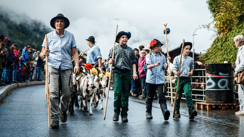 Foire aux moutons et désalpe de Jaun (FR)