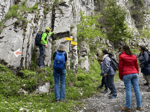 Inititation à la géologie à Torgon (VS)