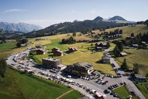 Marché-brocante des Mosses (VD)