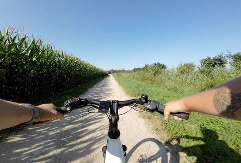 Visite de Morat  et du Haras National en vélo électrique