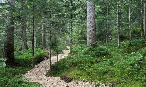 Le sentier didactique de la forêt des Arses