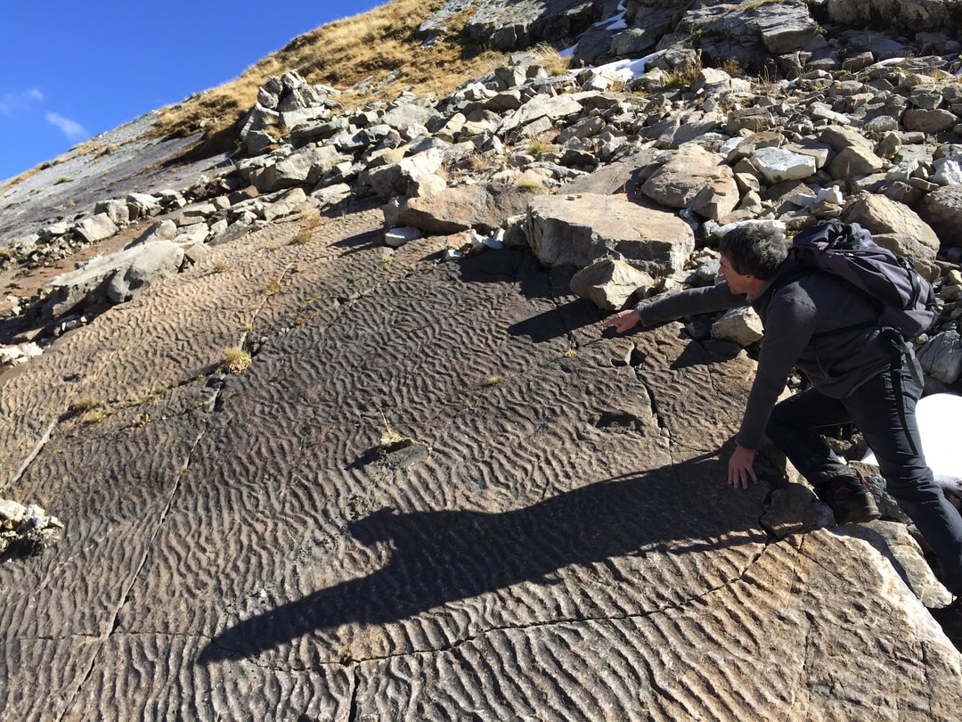 Petite piste d'archosaure du site de Bas-Veudale