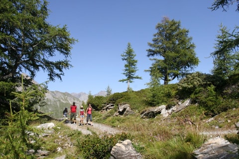 Télésiège Ovronnaz – Jorasse