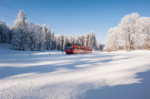 Ski de fond et raquettes dans le Jura