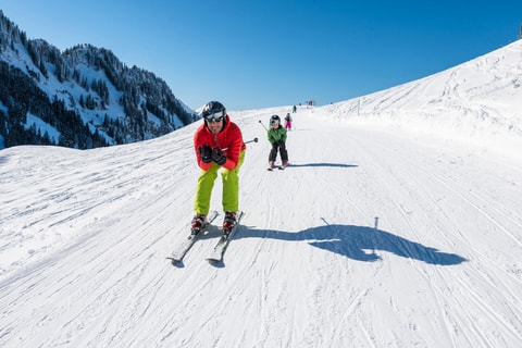 Domaines skiables des Préalpes fribourgeoises
