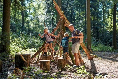 Waldabenteuer Aarau