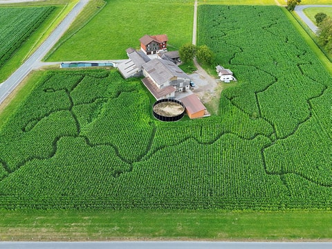 Mais-Labyrinth Glarnerland