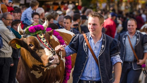 Foire et désalpe d’Albeuve (FR)