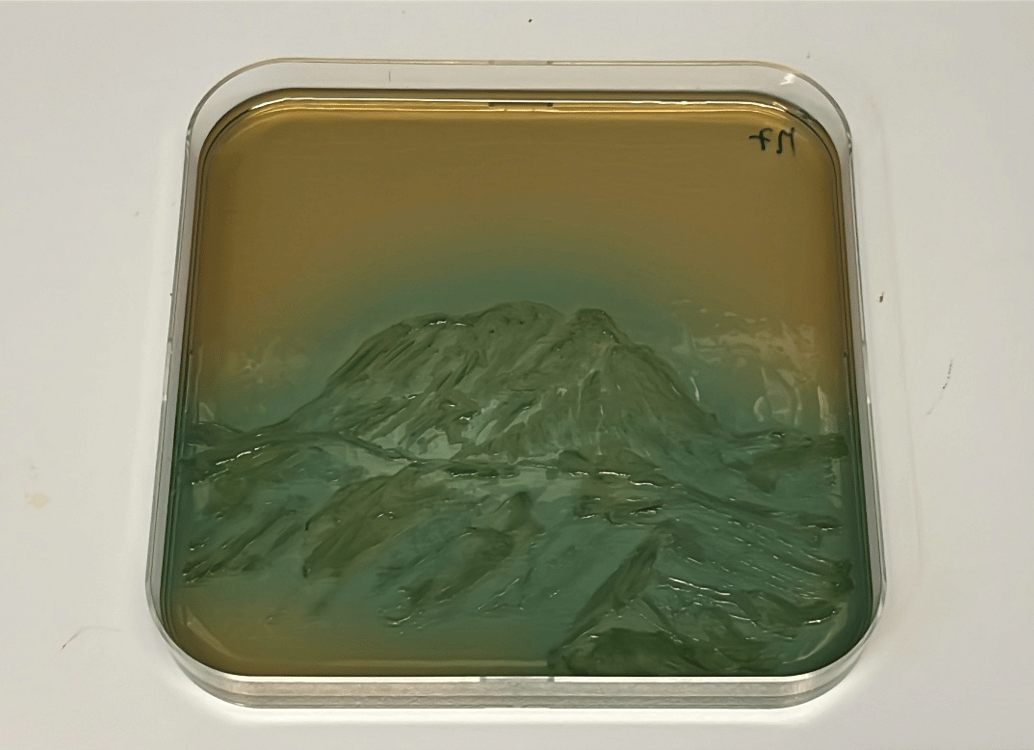 Expo "Montagnes de Microbes" à Lausanne